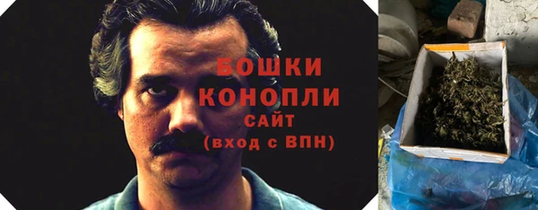 первитин Новодвинск