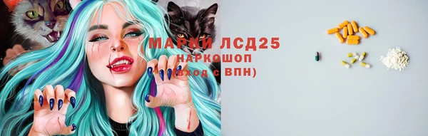 spice Новозыбков