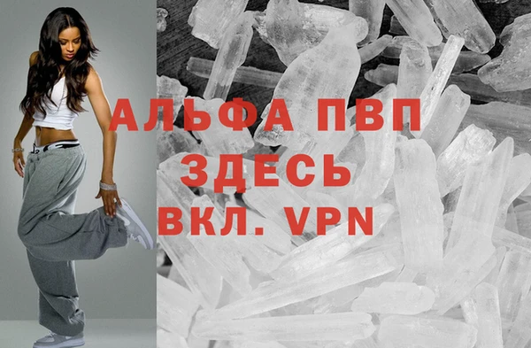 spice Новозыбков
