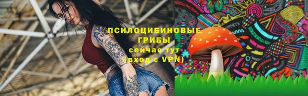 первитин Новодвинск