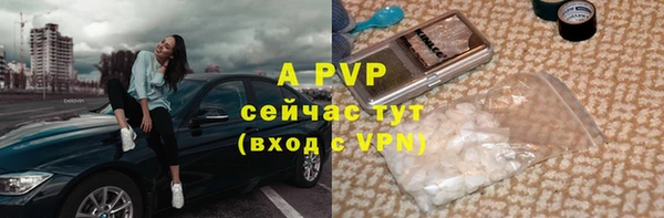 первитин Новодвинск