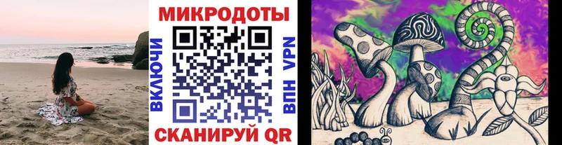 наркошоп  Хабаровск  Псилоцибиновые грибы мицелий 